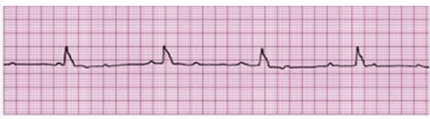 <p>What is this?</p>