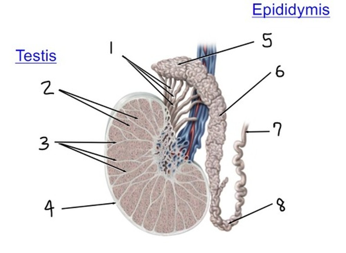 <p>what is 3</p>