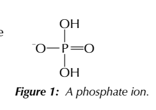 <p>PO<sub>2</sub>(OH)<sub>2</sub><sup>-</sup></p>