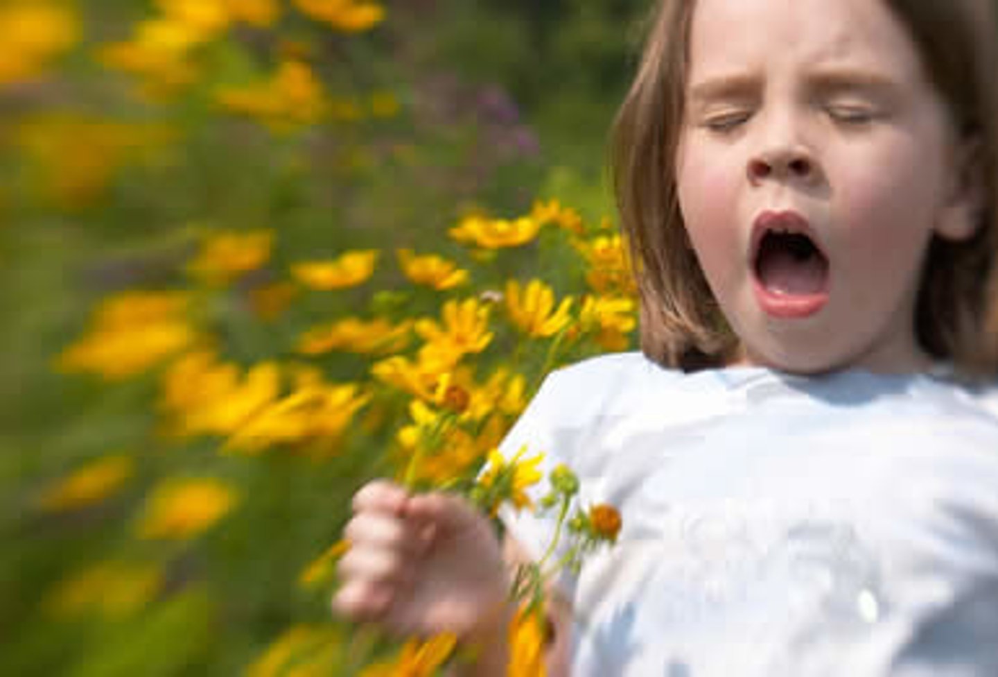 <p>allergy</p>