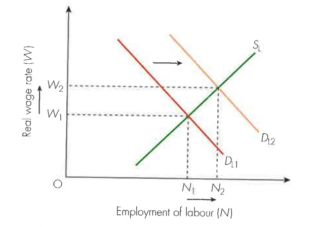 <ul><li><p><strong>fiscal policy</strong> - expansionary fiscal policy → higher employment</p></li><li><p><strong>monetary policy</strong> - interest rates falls → encourages borrowing + investment → shifts demand for labour to the right</p></li><li><p><strong>protectionist measures</strong> - tariffs + quotas used to safeguard domestic jobs from international competition</p></li><li><p><strong>investment in education + training</strong> → more people suitable for jobs</p></li><li><p><strong>reduction in trade union powers </strong>→ labour is cheaper</p></li><li><p><strong>incentives</strong> can be offered to firms to employ + train people</p></li><li><p><strong>reducing welfare benefits</strong> motivates people to find jobs</p></li></ul><p></p>