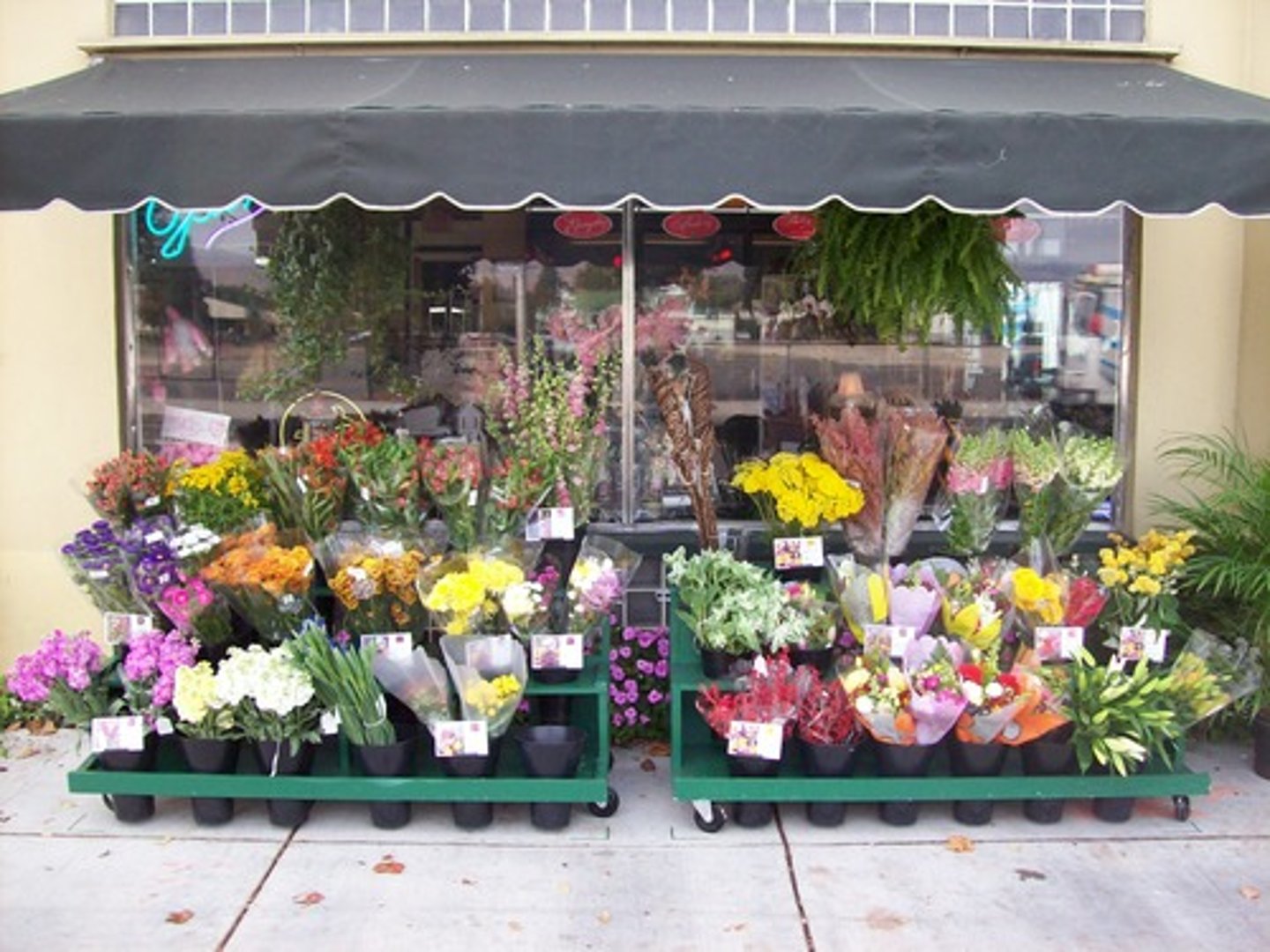 <p>the florist shop</p>