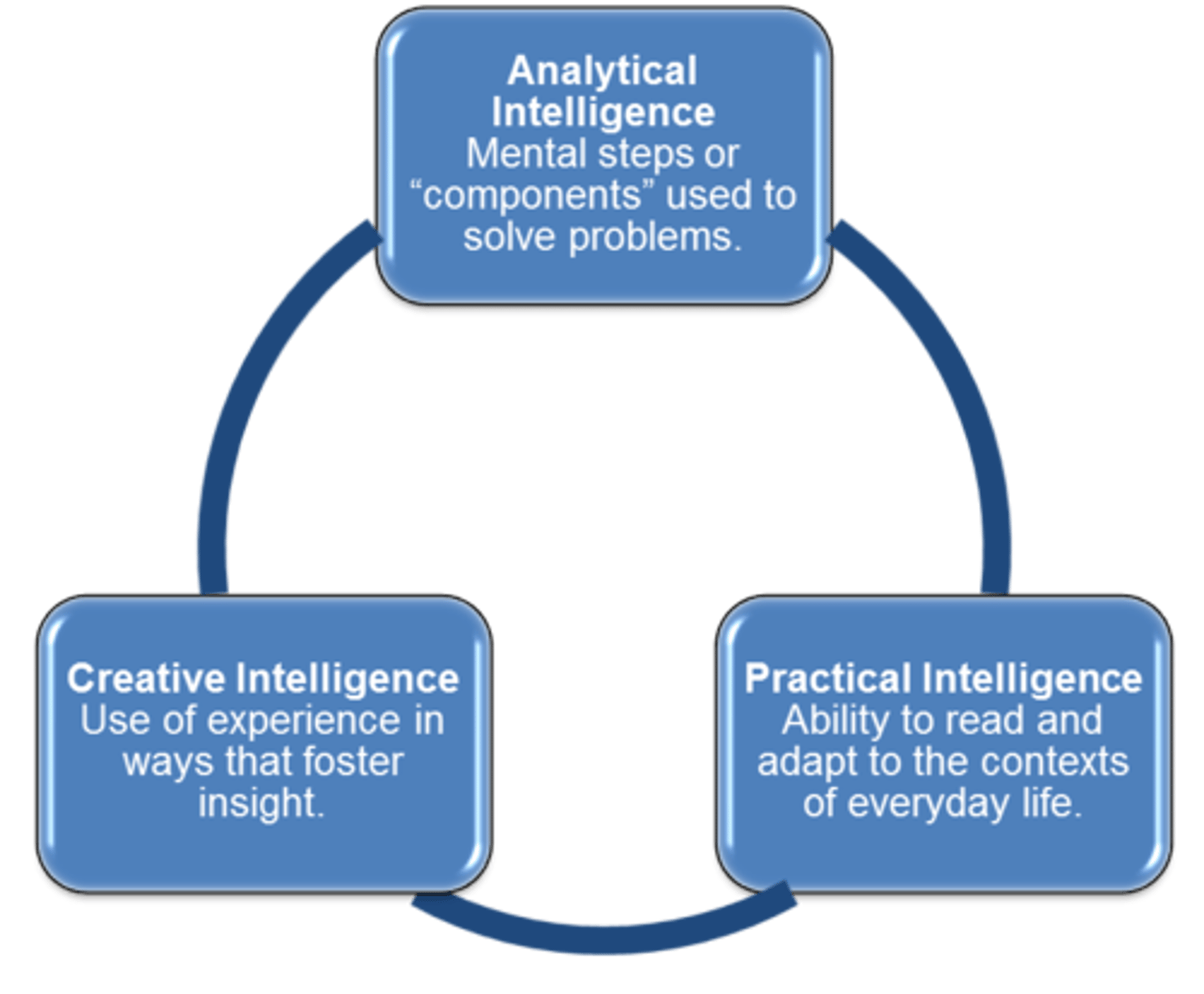 <p>Sternberg's theory that there are three kinds of intelligence: analytical, creative, and practical</p>