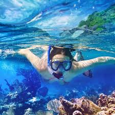 <p>snorkel (v) /ˈsnɔː.kəl/=&gt;Scuba diving and snorkeling are two ways to get a close look at the beauty lying below the surface of the ocean.</p>