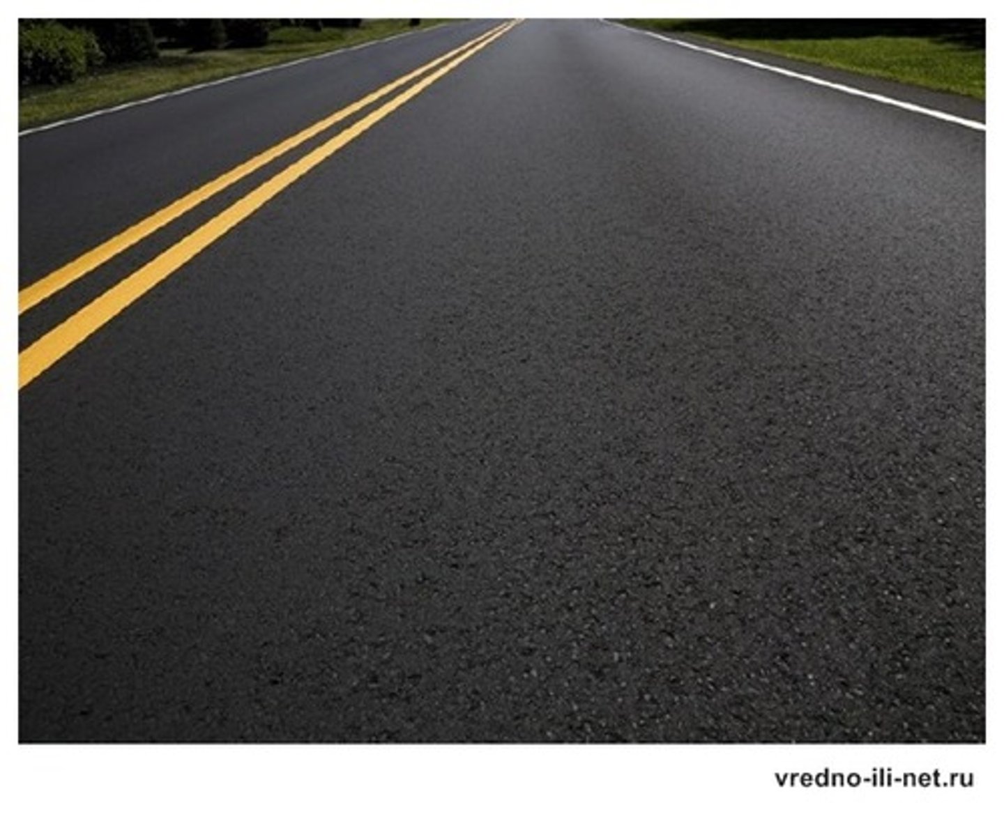 <p>asphalt, forests &amp; oceans</p>