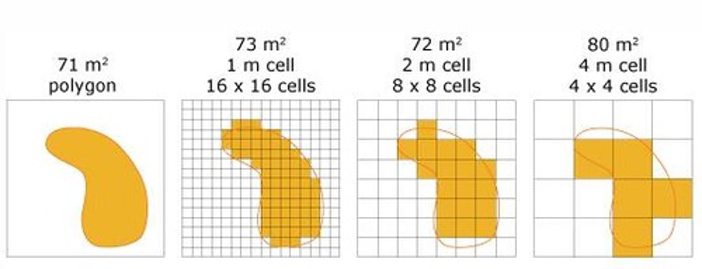 <p>The SHP contains the feature's geometry and some of the data.</p>