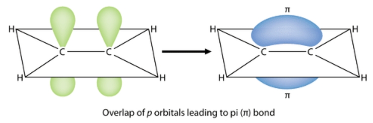 <ul><li><p>Celles-ci se forment après une liaison sigma, généralement dans les doubles ou triples liaisons.</p></li><li><p>Elles se produisent lorsque les orbitales se chevauchent latéralement.</p></li><li><p>Les liaisons pi impliquent le chevauchement d’orbitales p.</p></li><li><p>Elles sont généralement plus faibles que les liaisons sigma et limitent la rotation autour de l’axe de la liaison.</p></li></ul><p></p>