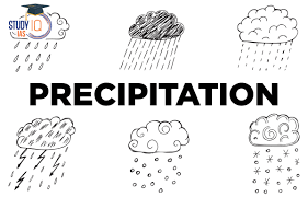 <p>Precipitation</p>