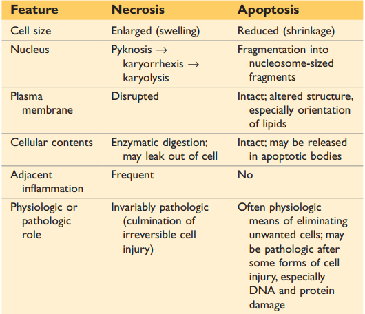 Table 2.1 Features of Necrosis and Apoptosis