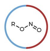<p>ONO group - nitrogen is directly bonded to the oxygen, which is bonded to nitrogen</p>