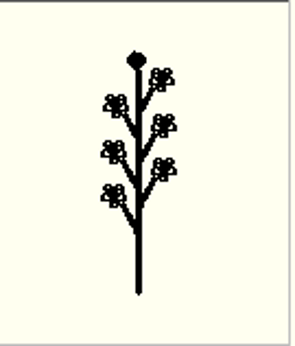 <p>a plant can grow throughout its life</p><p>- has the ability to grow new limbs from cut off parts/sections of plant</p>