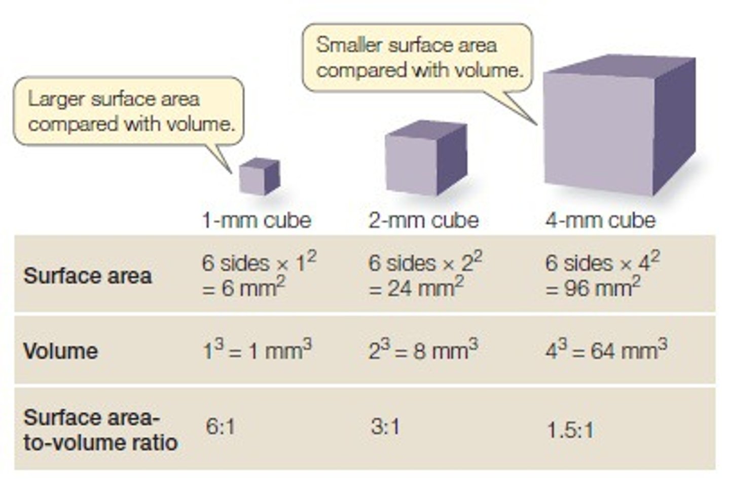 <p>a comparison of the amount of surface area per unit of volume. In Biology, SA:V influences temperature regulation, and a high SA:V leads to more effective transport into and out of cells.</p>