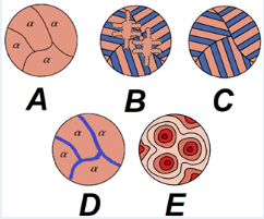 <p>Coring microstructure look like…</p>
