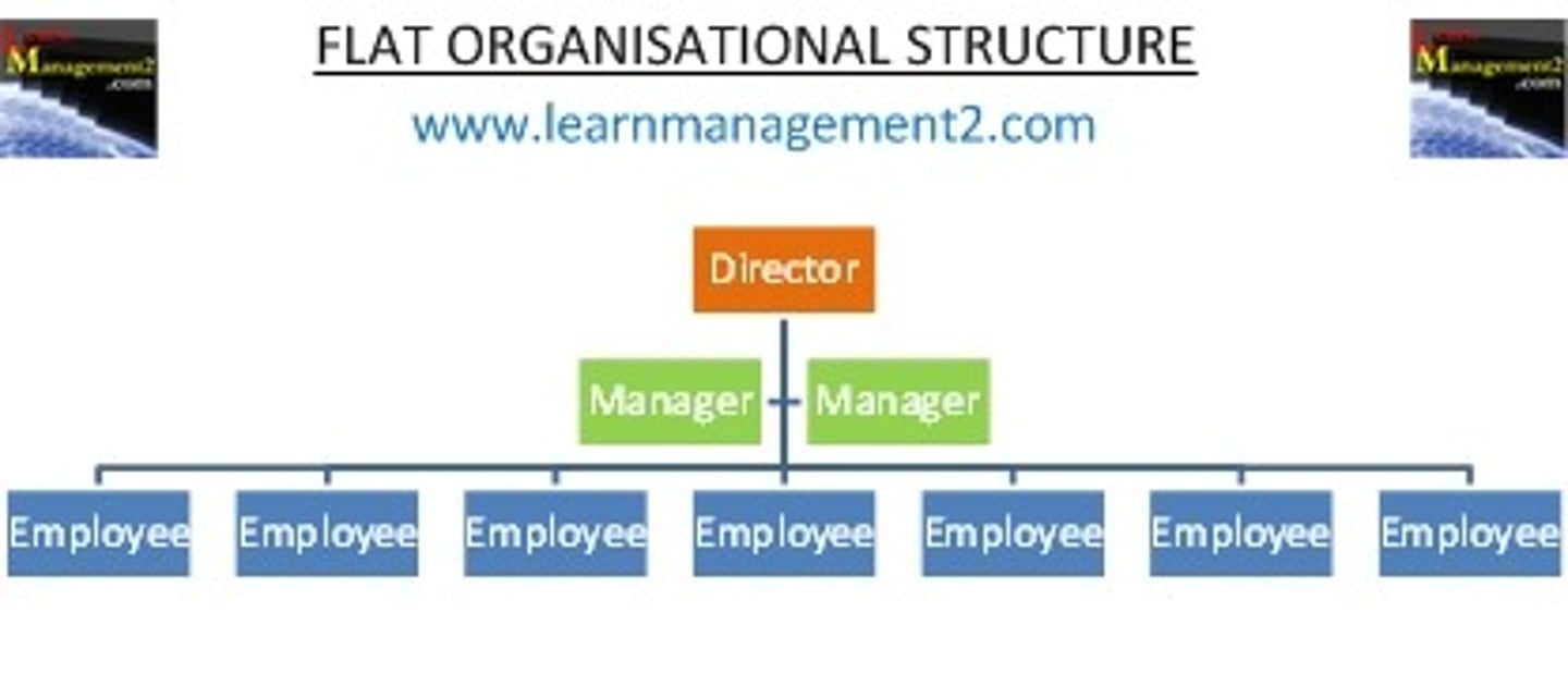 <p>Has a wide span, is horizontally dispersed, and has fewer hierarchical levels</p>