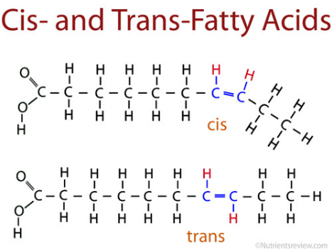 <p>Trans fatty acids</p>