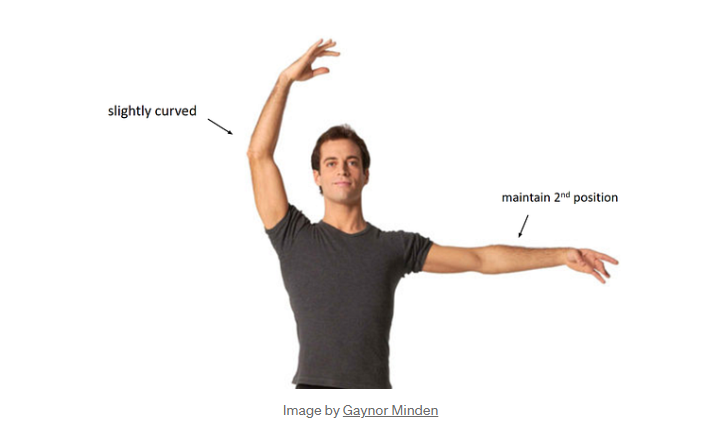 <p>Which position in the fundamental dance steps is being shown?</p>