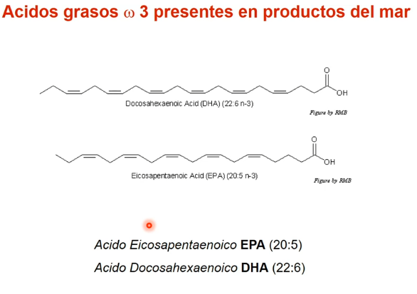 <p>NO, estos son ác grasos esenciales, que solo los obtengo a través de la dieta y tienen alta importancia nutricional.</p><p>+Dobles enlaces son más importantes para la salud = protección cardiovascular y menos induces de obesidad. </p><p></p>