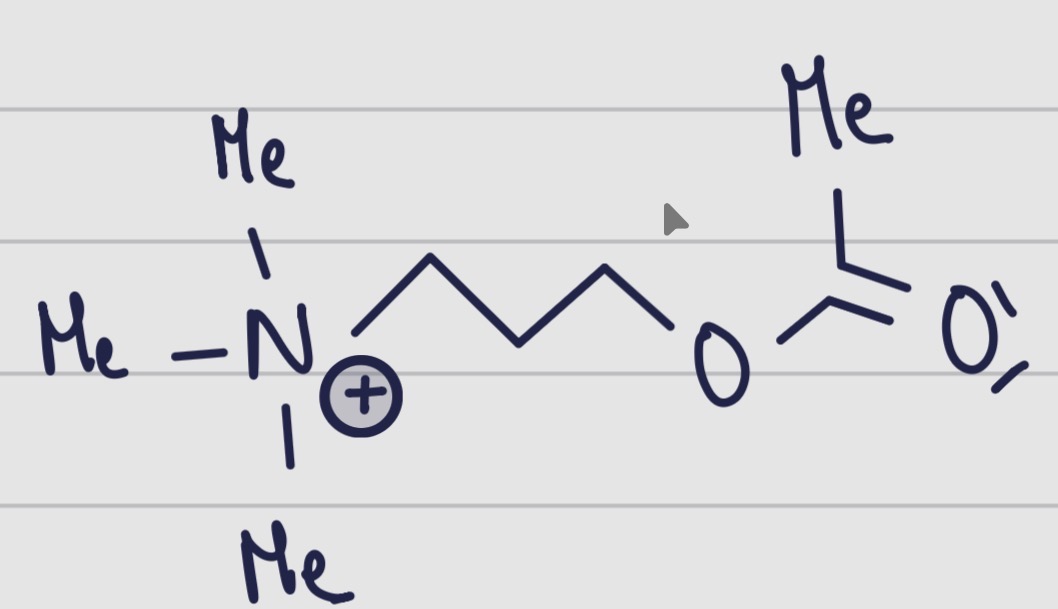<p>De quelle molécule s’agit il ? </p>