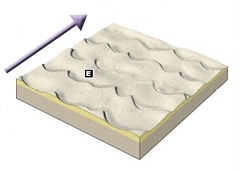 <p>Wind: Type of Sand Dune</p>