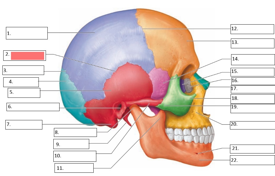 <p>2</p>