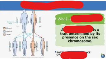 <p>Traits linked to the sex chromosomes of an organism. Basically certain traits, in this case, will be determined by the sex chromosomes inherited by the organism, or will be more likely to be expressed.</p><p>Essentially a trait determined by its presence on the sex chromosome.</p><p>Image attached outlines pattern of inheritance for a sex linked trait.</p>