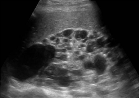 <p>What is this and what type of scan </p>