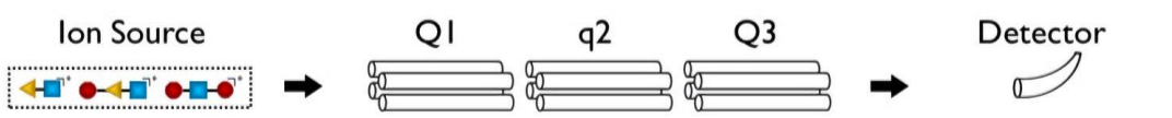 <p>for these general steps</p><p>product ion scan - what is allowed through Q1? what is q2? what does Q3 do?</p><p>what is chromatogram and mass spec and what does it show?</p>