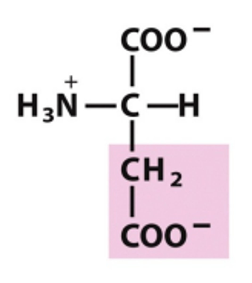 <p>Which amino acid is this?</p>