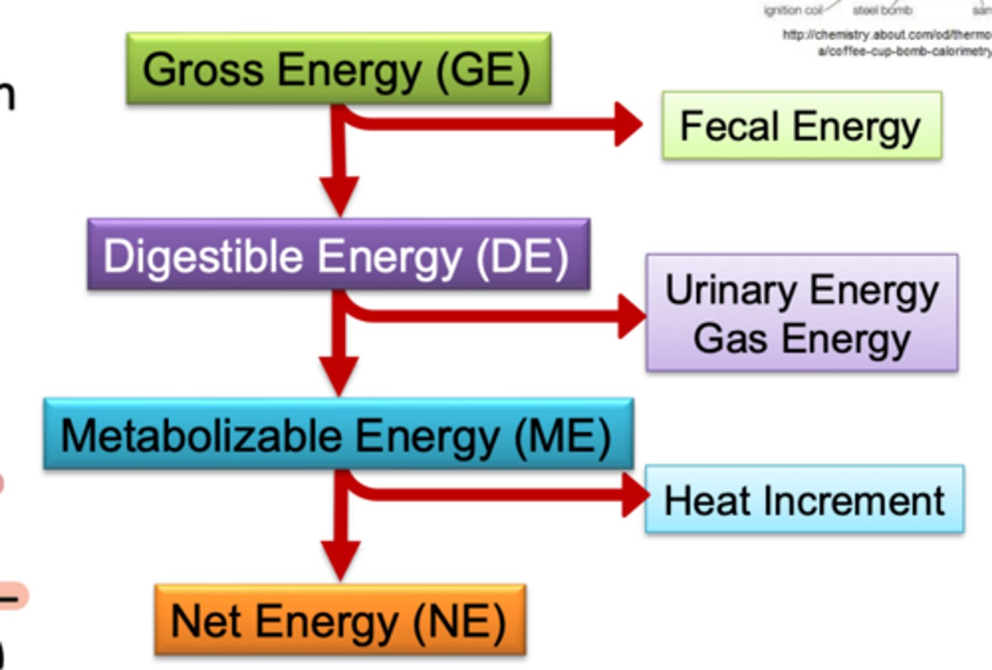 <p>____ is digestible energy (gross energy - fecal energy) - urine and gas energy</p>