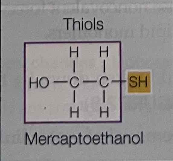 <p>Mercapoethanol</p>