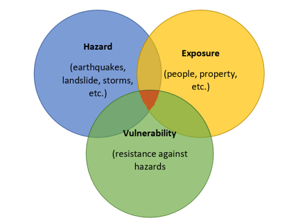 <p><strong>Disaster Risk</strong></p>