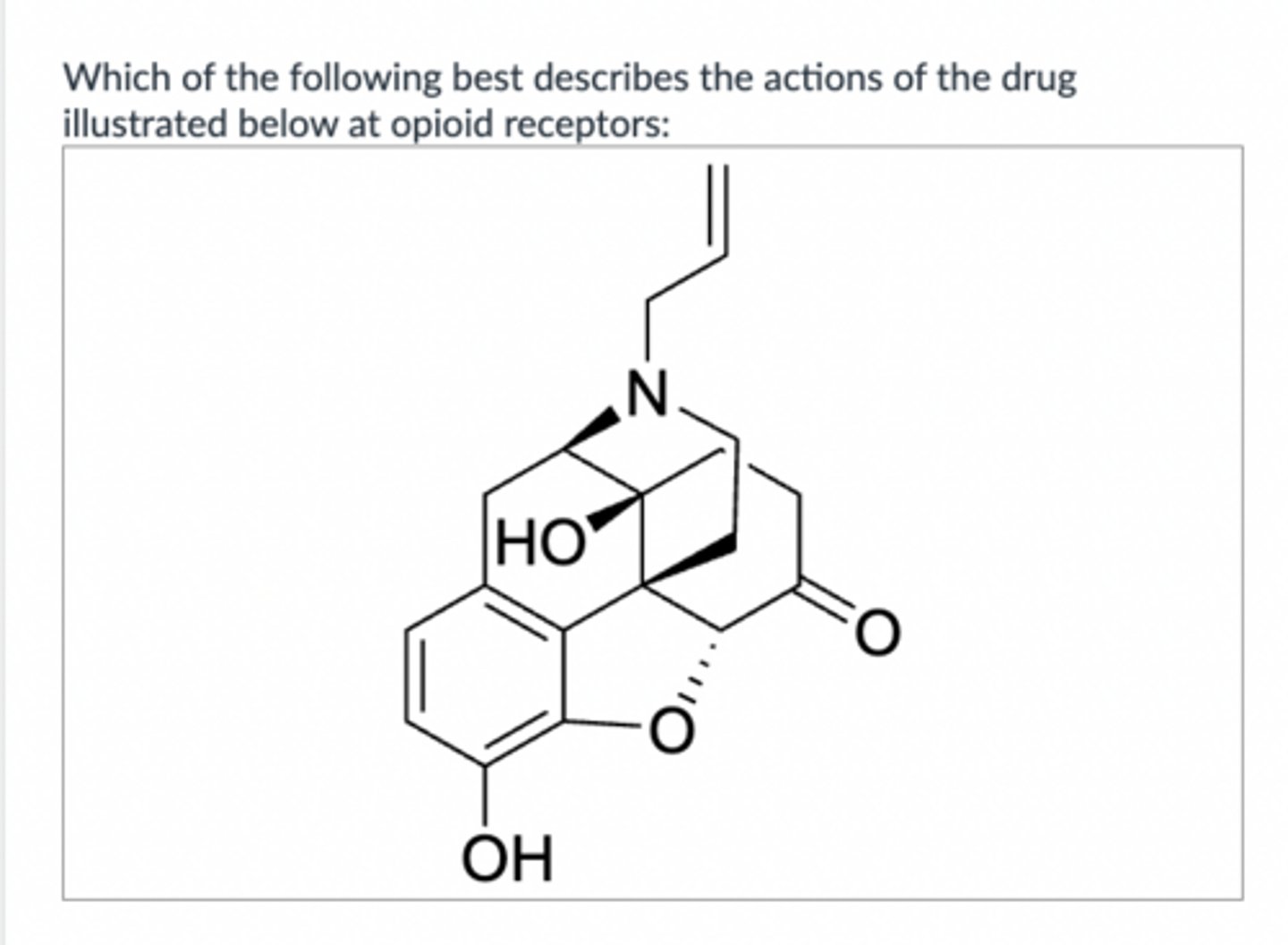<p>what type of agonist</p>