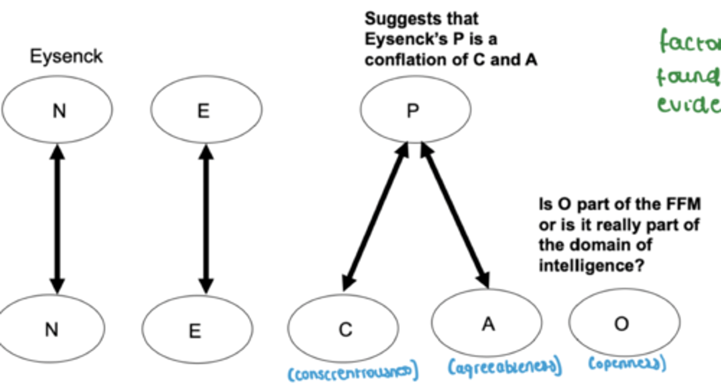 <p>They suggests that 'P' in Eysenck's model is a conflation of conscientiousness and agreeableness (people who are high in P are low in these 2) low C and A predicts a high P</p><p>- P should be separated</p>