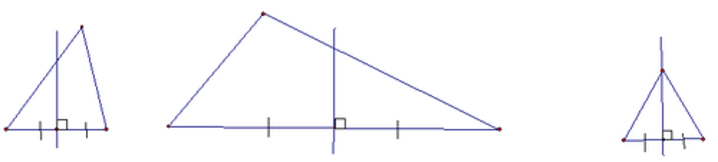 <p>A perpendicular segment that passes through the midpoint and does not have to pass through a vertex.</p>