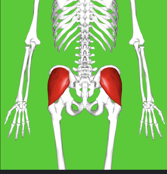 <p></p>