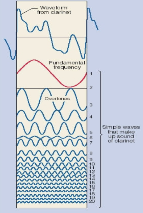 <p>we mostly hear in complex sounds rather than just pure tones </p><p>use fourier analysis to analyze sound </p><ul><li><p><span>fourier analysis- Any complex sound can be broken down into pure tones (component frequencies)&nbsp;</span></p></li></ul><ul><li><p>basilar membrane of cochlea acts as fourier analysis </p></li></ul><p>cocktail party effect- isolate meaningful auditory stimulus from loud environment </p>