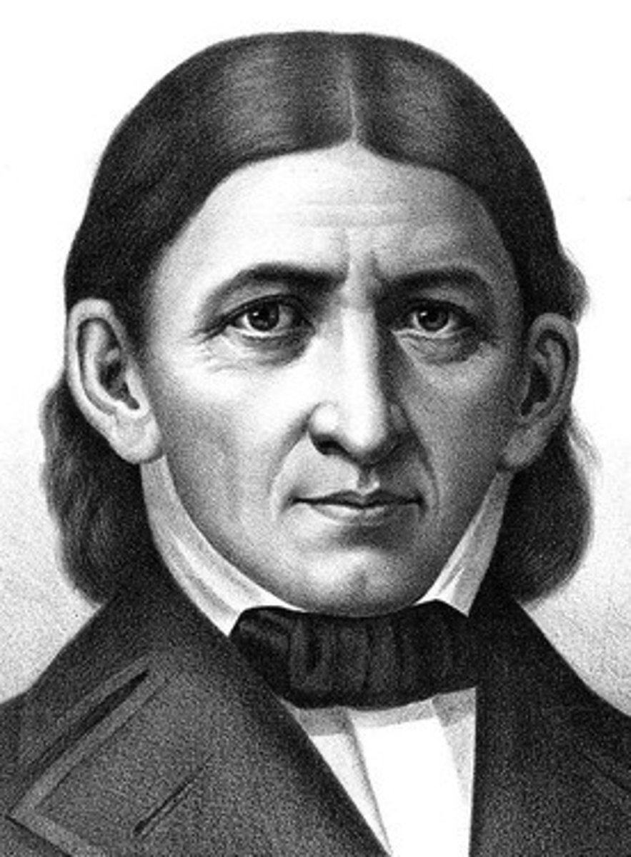 <p>Frederick Froebel<br>- invented the concept of Kindergarten<br>- Kindergarten: children could reach their full potential under the interactive guidance of an adult.<br>Margarethe Schurz<br>- influenced by Froebel<br>- German<br>- opened the first unofficial kindergarten in her home in Wisconsin<br>Elizabeth Peabody<br>- Sister-in-law to horace<br>- t nation's first formal kindergarten</p>