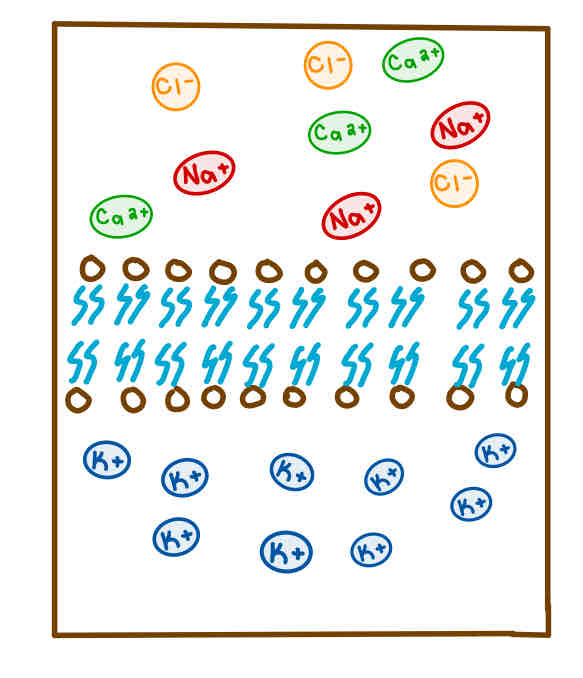 <p>This Diagram shows a _______</p>