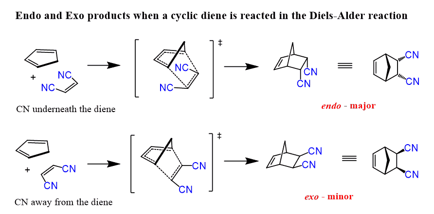 The endo product is preferred