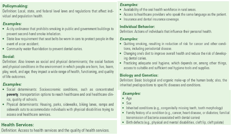 <p>contribute to health status of peeps and populations </p><p>healthy can be determined largely by circumstances and environment, context of peep’s lives</p><p>unlikely to control </p><p>interact and influence each other </p><p><strong>Social</strong></p><ul><li><p>shapes by distribution of money, power, resources and policy choices</p></li><li><p>affect health risks, outcomes</p></li><li><p>primarily responsible for health inequities (differences in health status) </p></li></ul><p></p>