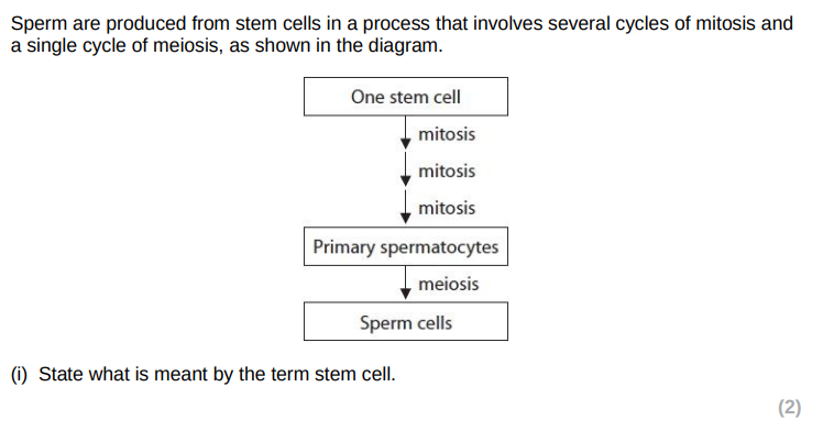<p>(ii) Compare and contrast the results of mitosis and meiosis in the production of sperm cells from stem cells (4) (ignore i)</p>