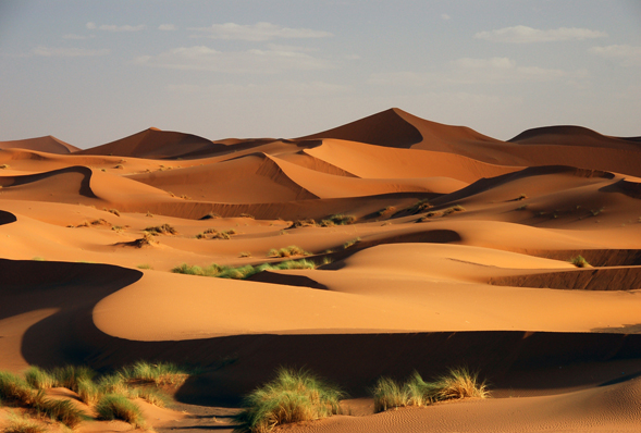 <p>Desert </p>