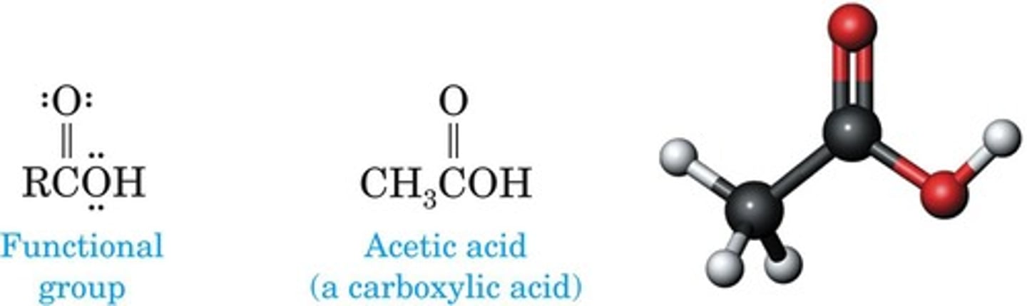 <p>Contains carboxyl group (-COOH) in structure.</p>