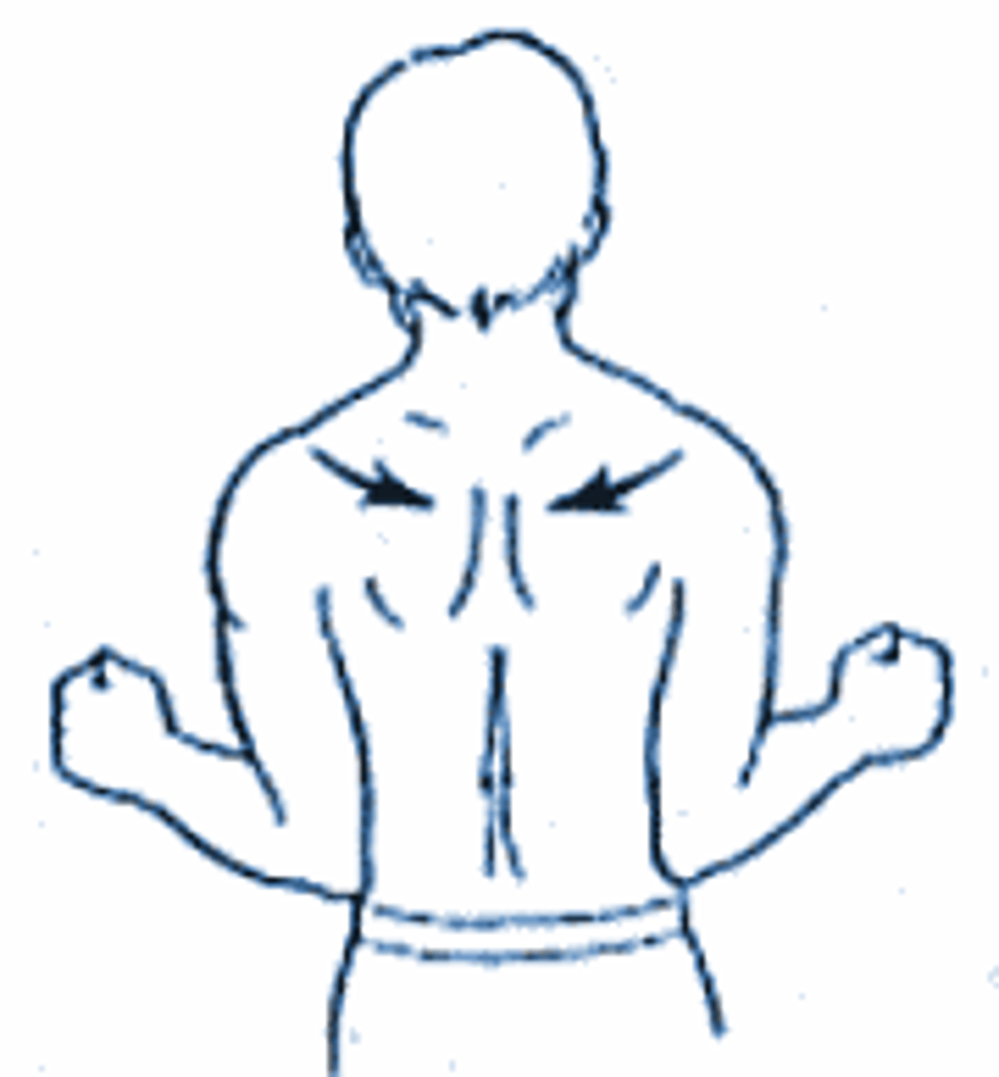 <p>what movement</p>