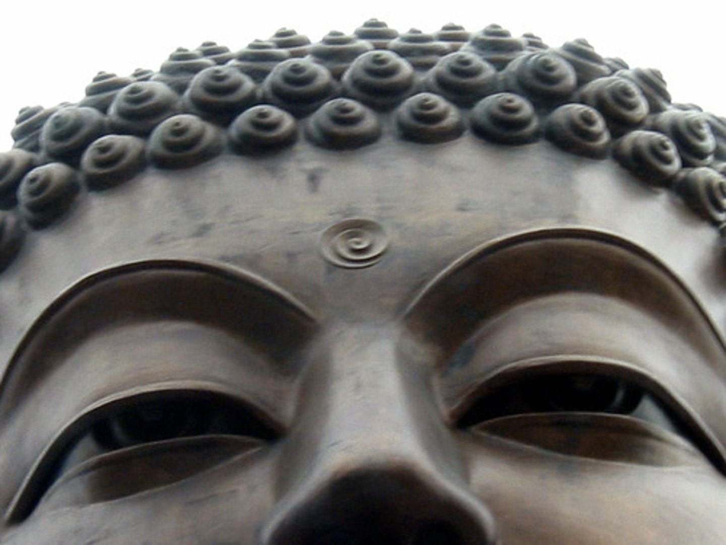 <p>a circle of hair, usually symbolized as a dot, between the eyebrows of a Hindu or a Buddhist figure.</p>