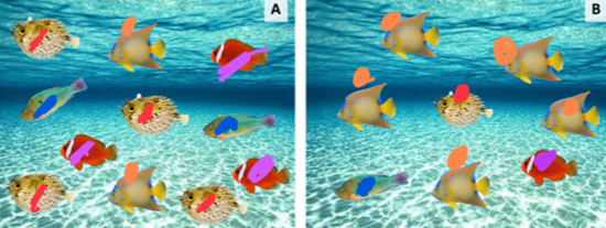 <p>Community A has higher species evenness </p>