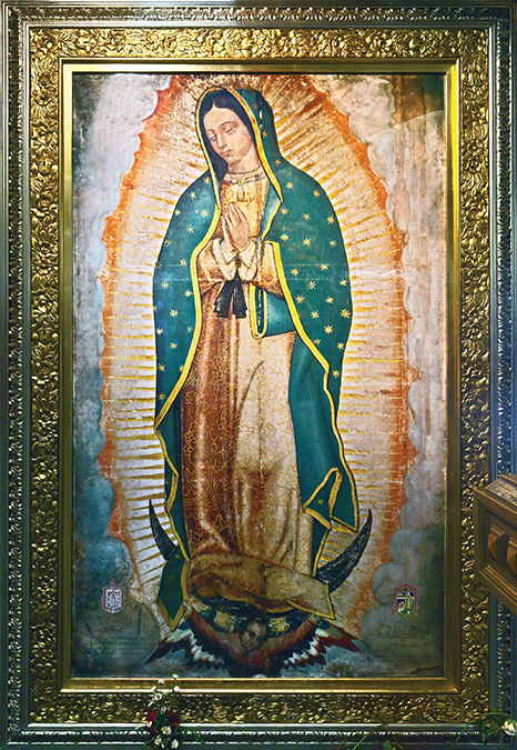 <p>Virgin of Guadalupe</p>