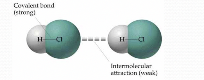 <p>Intramolecular forces: </p><ul><li><p>attraction between atoms/ions in a molecule </p></li><li><p>electrostatic attraction between ions or the attraction due to covalent bonds </p></li></ul><p>Intermolecular forces:</p><ul><li><p>attraction between two or more molecules</p></li></ul><p></p>