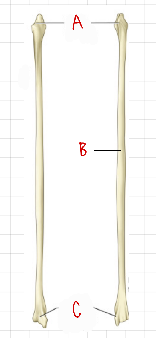 <p>a</p>