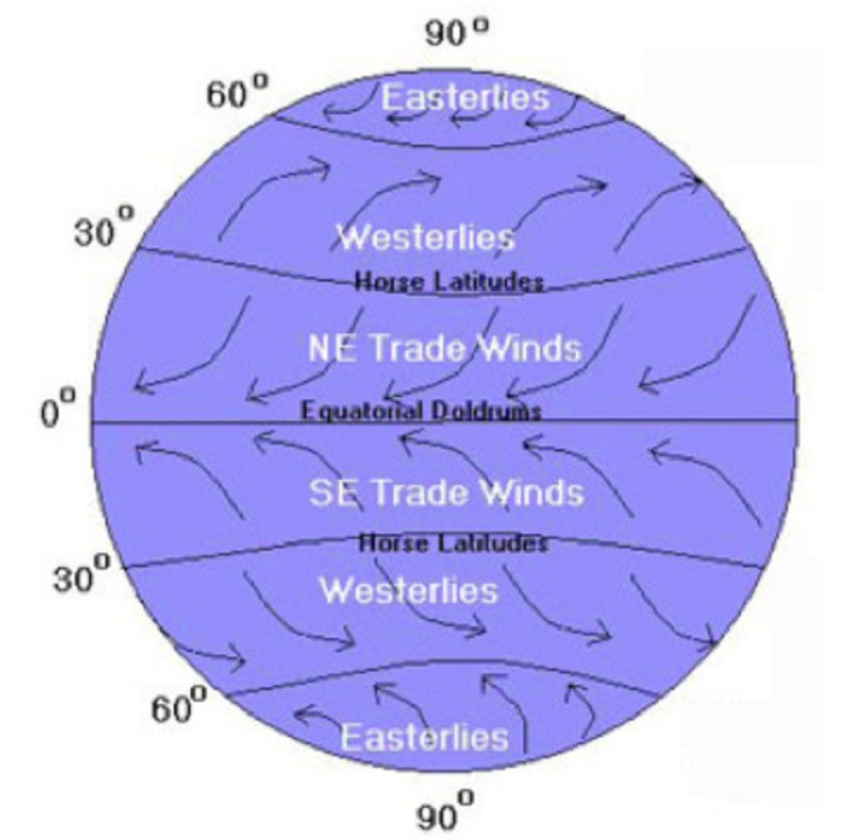 <p>trade winds, westerlies, polar easterlies</p>